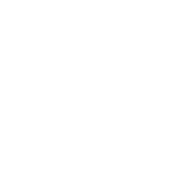 TravelPulsa Footer Logo